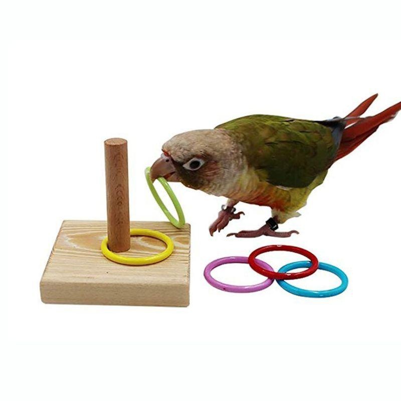 Gymnastic Rings Wooden - Bird Training Ring Toy Parrot Educational