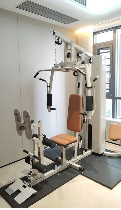 All-In-One Multi-Function Home - Home Gym Exercise 评论和价格