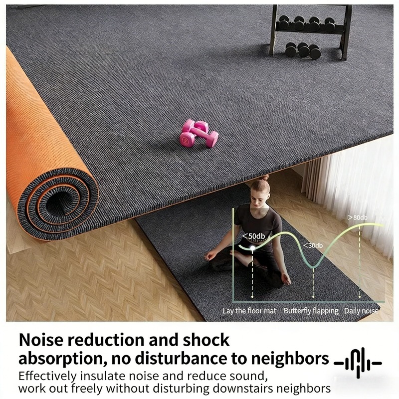 Shockproof Plush Carpet Floor  - Home Gym Minimalist 评论和价格