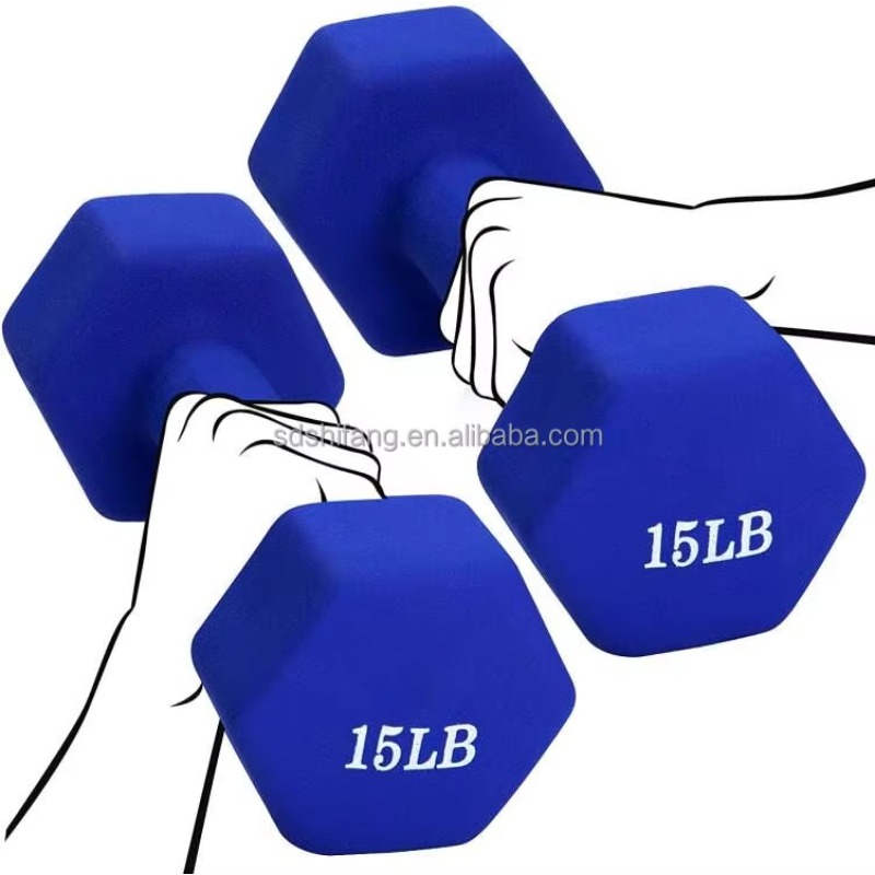 Women Hex Iron Coated Vinyl Du - Hex Dumbbell Set 评论和价格