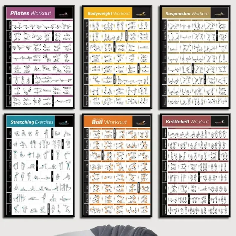 Body Exercise Training Chart G - Home Gym Minimalist 评论和价格