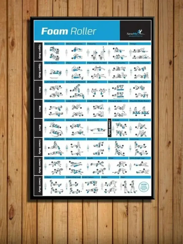 Body Exercise Training Chart G - Home Gym Minimalist 评论和价格