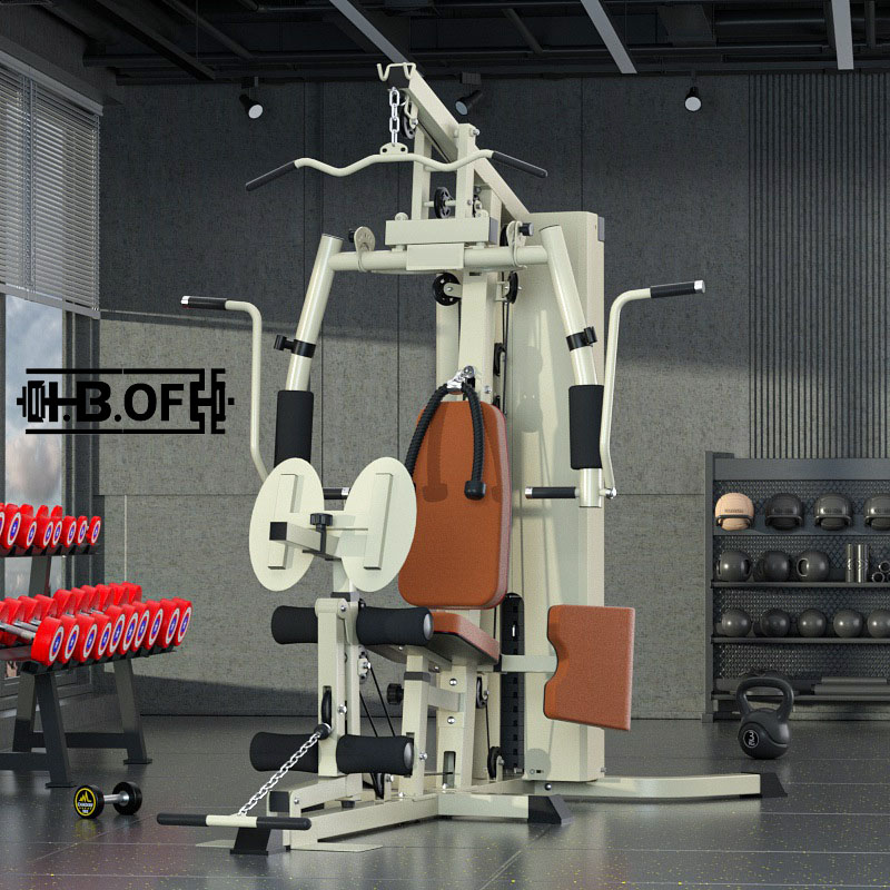 Single Person Station Comprehe - Home Gym Weight Machine 评论和价格