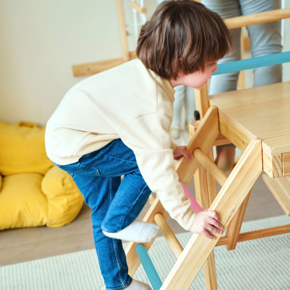 Grove 8in1 Indoor Jungle Gym w - Gymnastic Rings Wooden 评论和价格