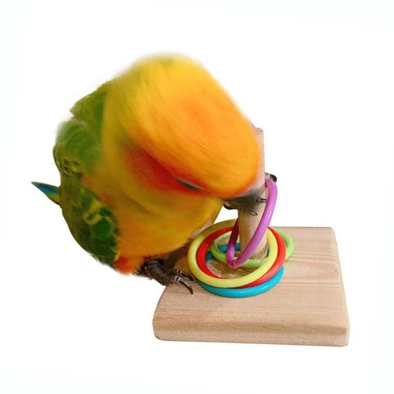 Bird Training Ring Toy Parrot  - Gymnastic Rings Wooden 评论和价格