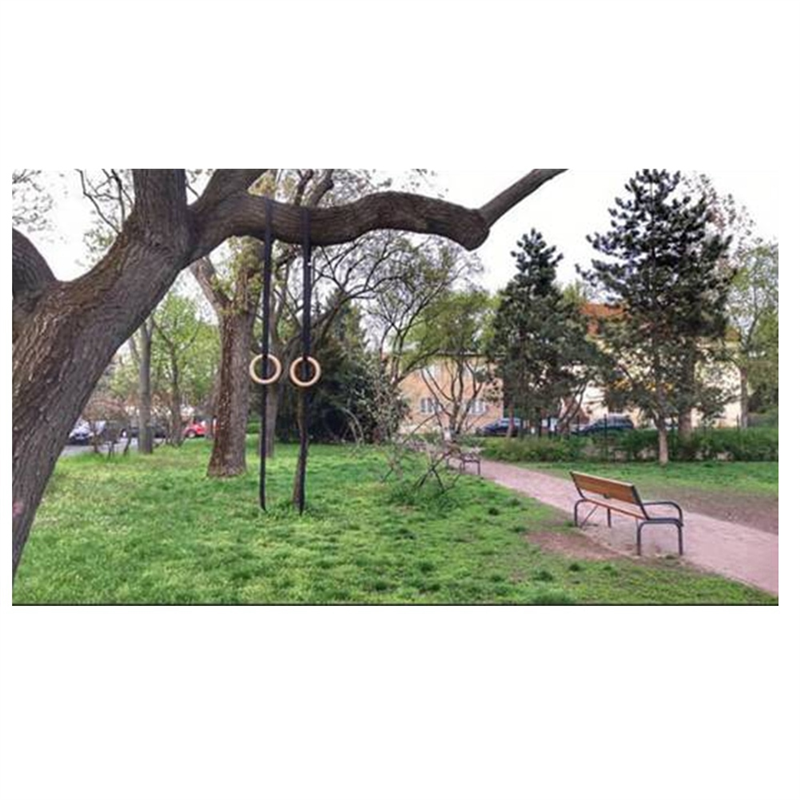 ABYM 38Mm Birch Wood Gymnastic - Gymnastic Rings Wooden 评论和价格
