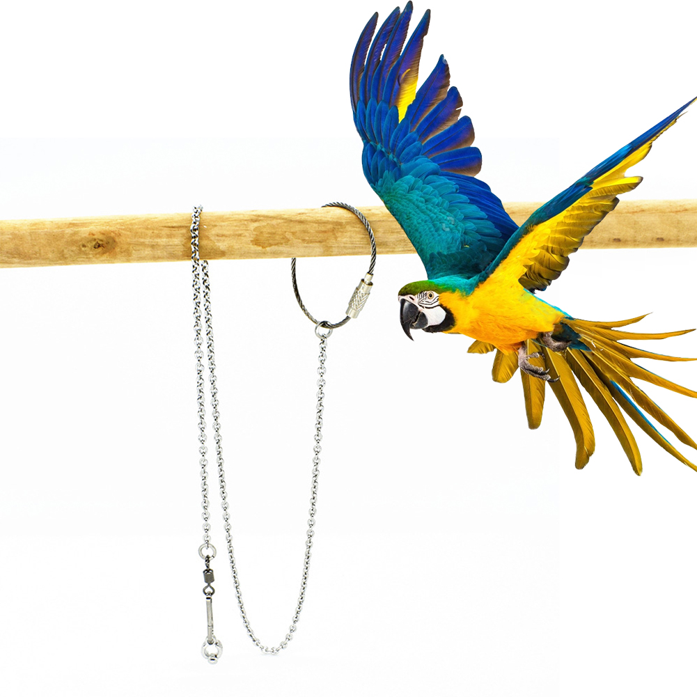 1Pcs Pet Parrot Leg Ring Ankle - Gymnastic Rings Wooden 评论和价格