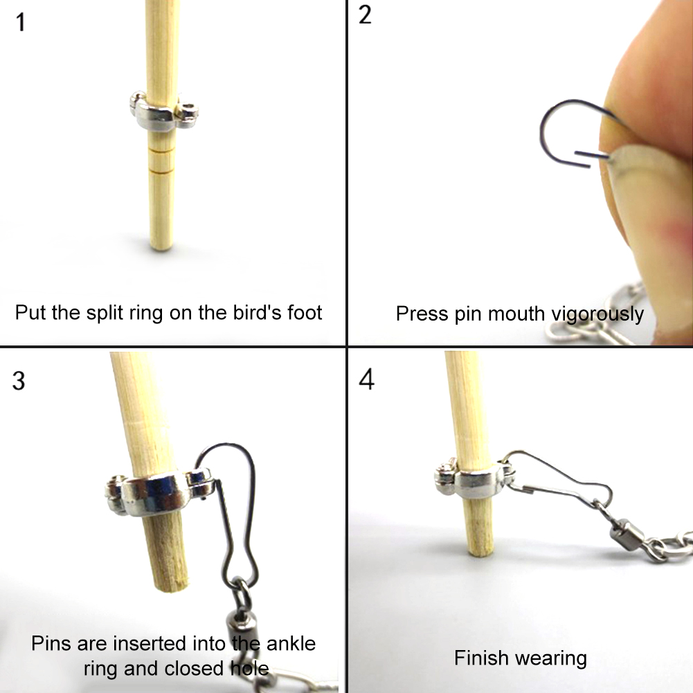 1Pcs Pet Parrot Leg Ring Ankle - Gymnastic Rings Wooden 评论和价格